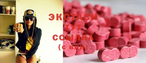 МДПВ Инсар