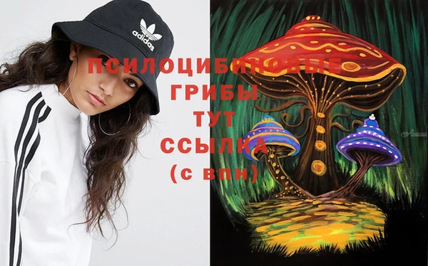 МДПВ Инсар
