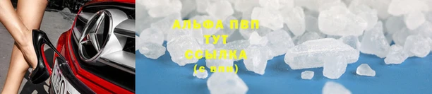сатива Фёдоровский