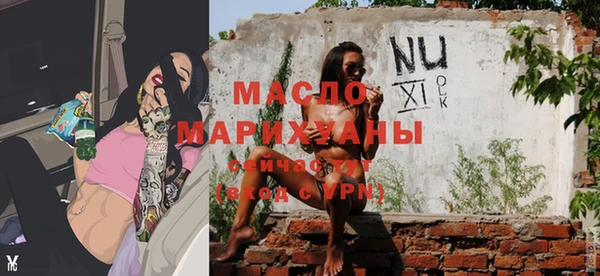 МДПВ Инсар