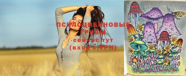МДПВ Инсар