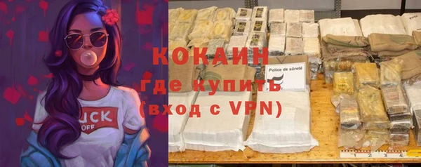 МДПВ Инсар
