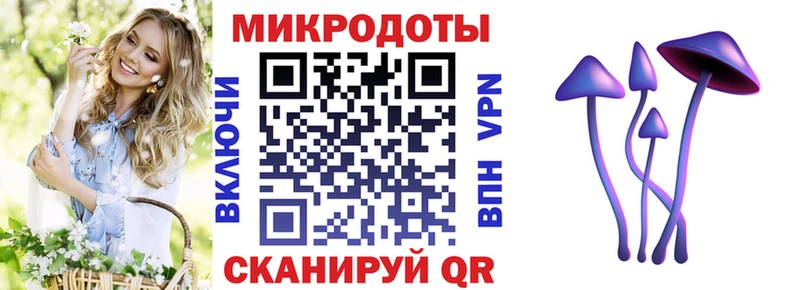 Галлюциногенные грибы GOLDEN TEACHER  Купить где  Володарск 